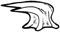 SHR010C.TIF