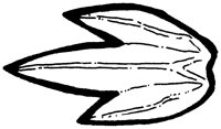 SHR010A.TIF