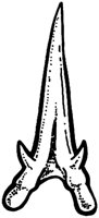 SHR009E.TIF