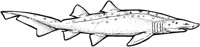 SHR009A.TIF
