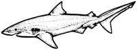 SHR003A.TIF