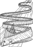 SCS010A.TIF