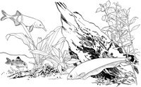 TRF030A.TIF