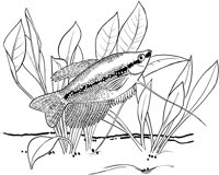 TRF028A.TIF