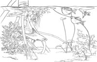 TRF026A.TIF