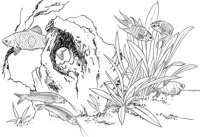 TRF024A.TIF