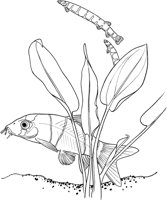 TRF023A.TIF