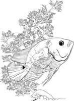 TRF022A.TIF