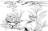 TRF020A.TIF