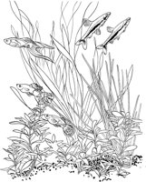 TRF018A.TIF
