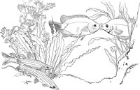 TRF016A.TIF