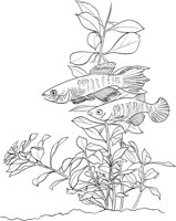 TRF015A.TIF