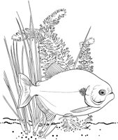 TRF014A.TIF
