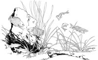 TRF012A.TIF