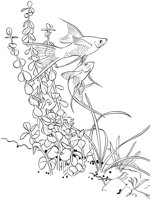 TRF010A.TIF