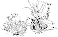TRF008A.TIF