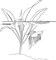TRF007A.TIF