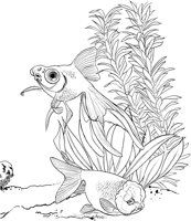 TRF005A.TIF