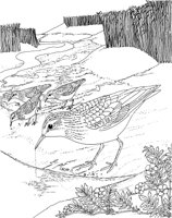 WPA041A.TIF