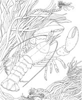 WPA028A.TIF