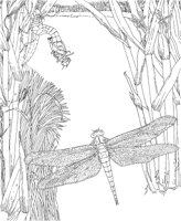 WPA027A.TIF