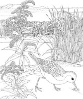 WPA017A.TIF