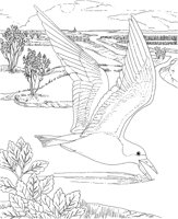 WPA015A.TIF