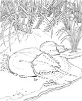 WPA014A.TIF