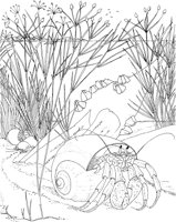WPA013A.TIF