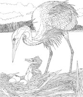 WPA011A.TIF