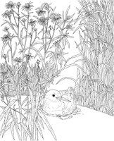 WPA009A.TIF