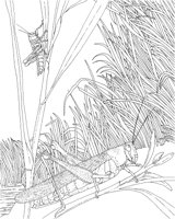 WPA008A.TIF