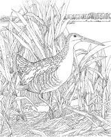WPA006A.TIF
