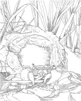WPA005A.TIF