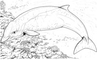 WHD046A.TIF