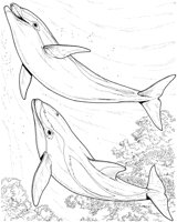 WHD027A.TIF