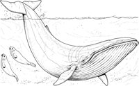 WHD005A.TIF