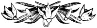 EAA081Z.TIF