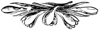 EAA081DD.TIF