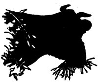 MSL086A.TIF