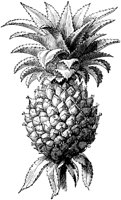 FDD092F.TIF
