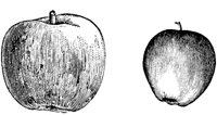 FDD091C.TIF