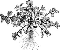 FDD089G.TIF