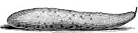 FDD089D.TIF