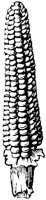 FDD088G.TIF