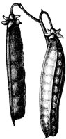 FDD087F.TIF
