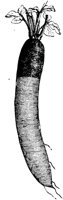 FDD087A.TIF