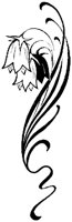 MOD013D.TIF