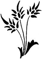 MOD010H.TIF