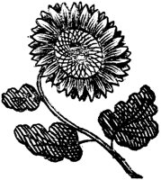 OEC033F.TIF